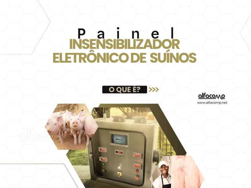Atordoamento Humanitário de Suínos: Como Padronizar o Processo com Tecnologia